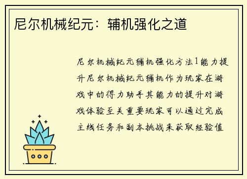 尼尔机械纪元：辅机强化之道